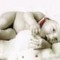 Sofie Meire