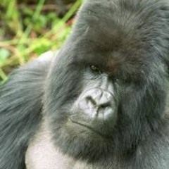 Sophie Faherty Clout