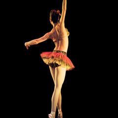 Ballets with a Twist