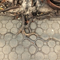 Roots Rock Rebellion