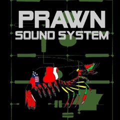 prawnsoundsystem