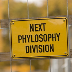 NEXT PHYLOSOPHY DIVISION
