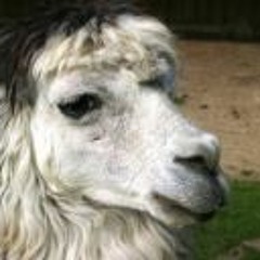 François Capdeville