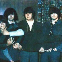 The Mods - Toledo, Ohio