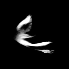 ghost alive