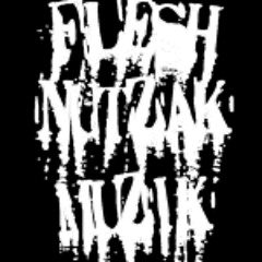 FleshNutzak Muzik