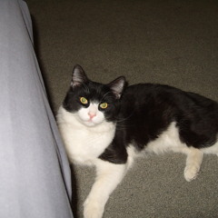 be fresh all day everyday