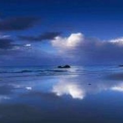 Deanna Fucbullsht Banks