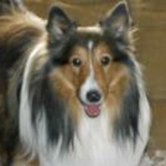 Judy DeFelice Angood