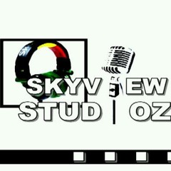 skyview studioz