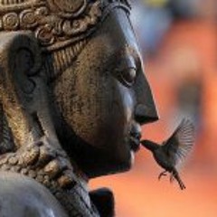 Mary Agnes Rodriguez