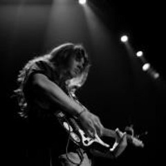 Sheep Michael Thompson