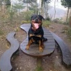 Brun's Ézarepar Bohn