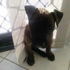 play