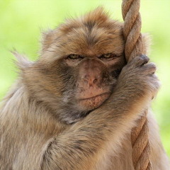 06.You Spin Me Right Round