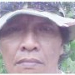 Bambang Sudjono