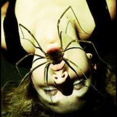Mouthful of spiders