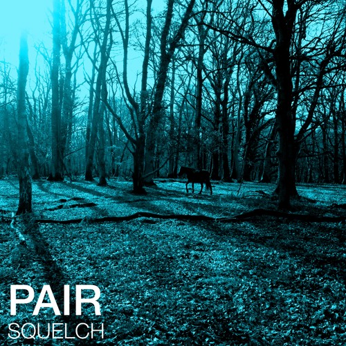 SoundCloud profile picture for @pair