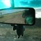 True_Grit