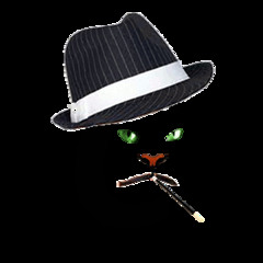 groovecat records