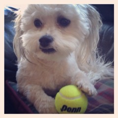 jacquelineannegamache