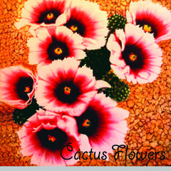 O Xote Das Meninas / I Feel Good. Cactus Flowers