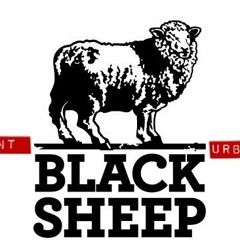 Black Sheep Beats