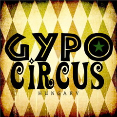 Gypocircus