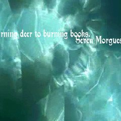 House of the last light