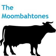 The Moombahtones