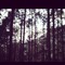 xiaoying.l