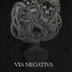 ViaNegativa
