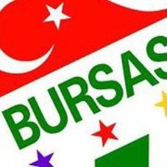 Seçkin Zileyaz