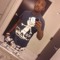 BoTE_xO