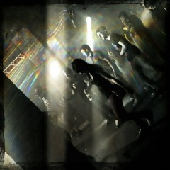 Sunshine Steffi