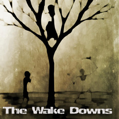 The Wake Downs