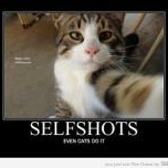 Violeta La Del Barrio