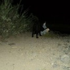 Nathalia Correa Lorca