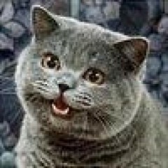 Bisquick