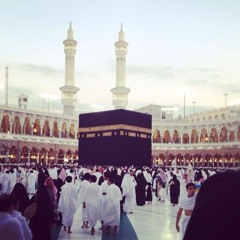 hanaahmed1