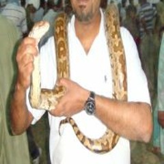 Ghouri