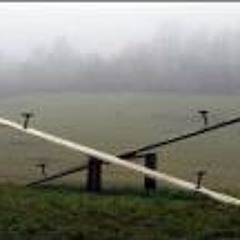 See Saw Trust