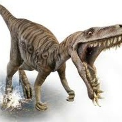 The Bantersaurus Rex Flex