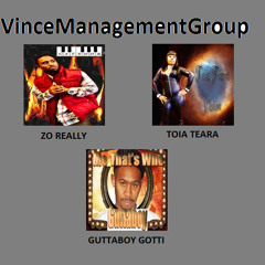 vincemanagementgroup