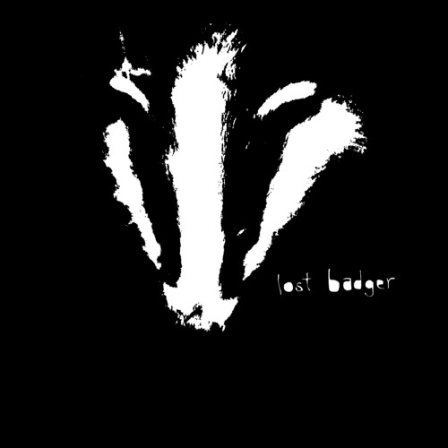 Lost Badger’s avatar