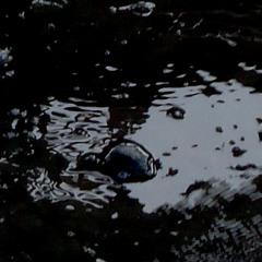 ...as a Secret Journal