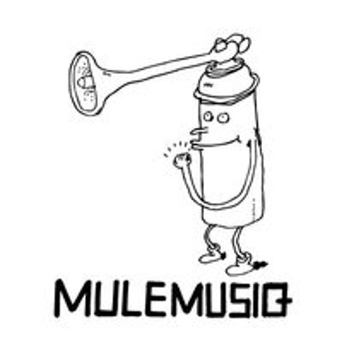 mulemusiq/endless flight — artist photo