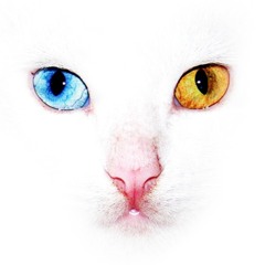 Maxx Verhovski/UNI-VERSE