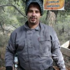 Andrés Alvarez Gonzalez