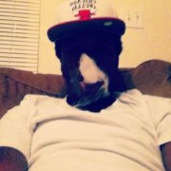 Dee DamnthatniggaDope Rob